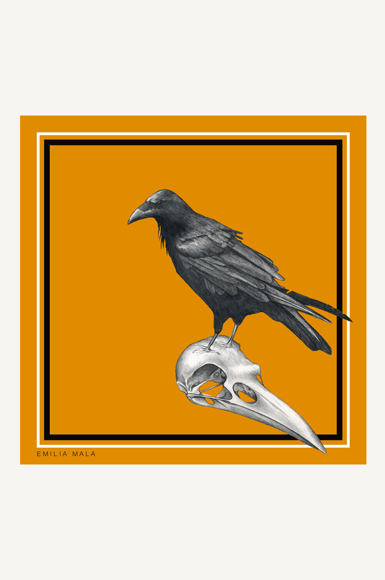 Merle Silk Scarf / Orange